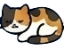 แมวนอนหลับ